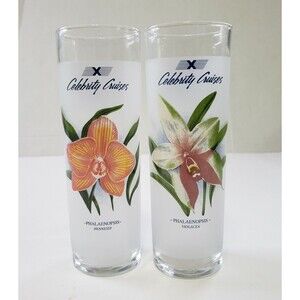 Celebrity Cruises Collectible Flower Frosted Glasses 7 Inch 12 oz Set of 2